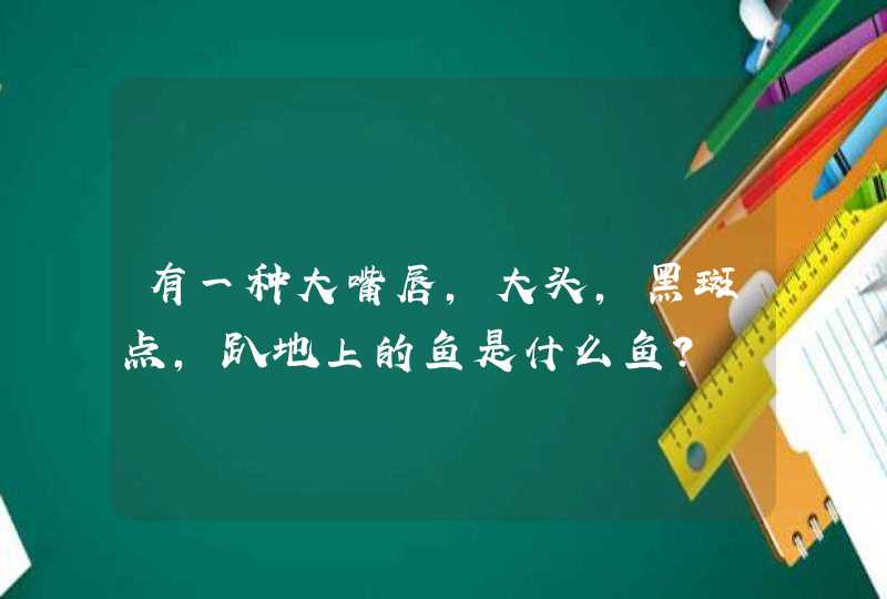 有一种大嘴唇,大头,黑斑点,趴地上的鱼是什么鱼?,第1张