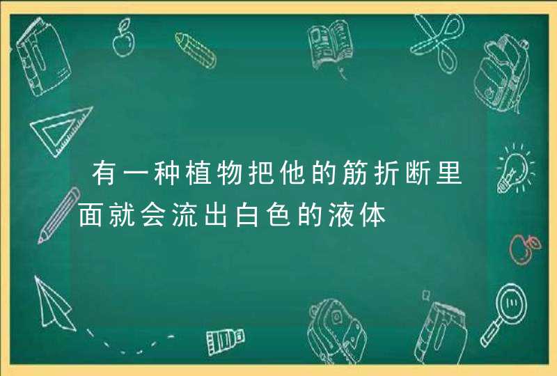 有一种植物把他的筋折断里面就会流出白色的液体,第1张