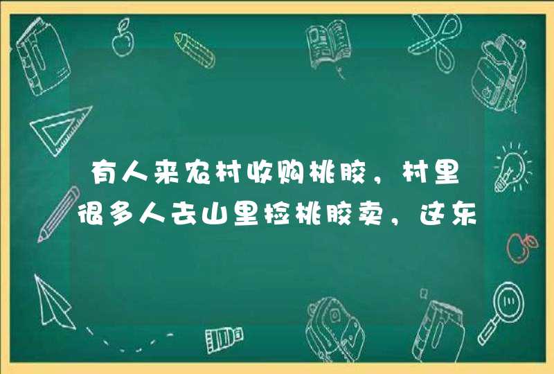 有人来农村收购桃胶，村里很多人去山里捡桃胶卖，这东西有什么用？,第1张