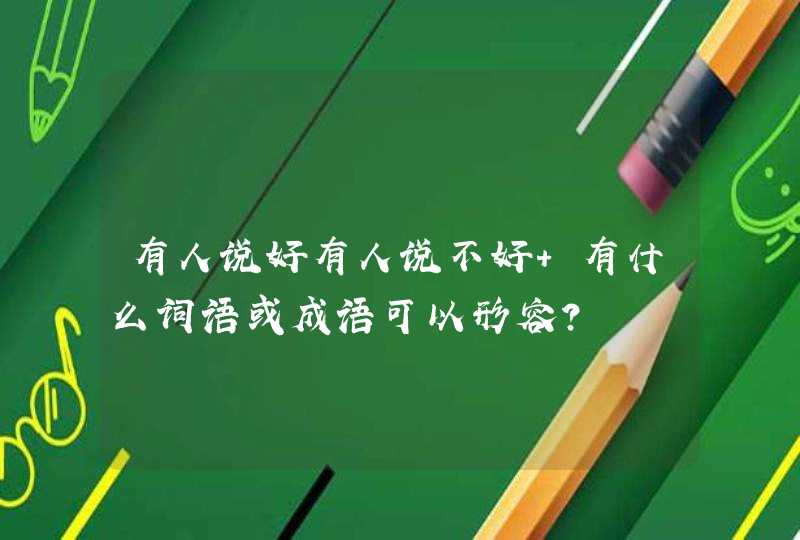 有人说好有人说不好 有什么词语或成语可以形容？,第1张