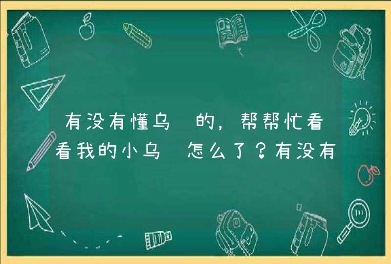 有没有懂乌龟的，帮帮忙看看我的小乌龟怎么了？有没有生命危险？怎么,第1张