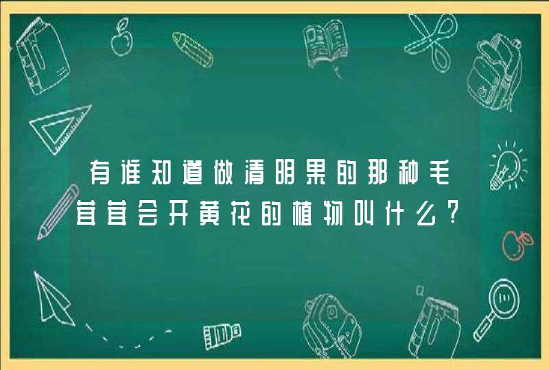 有谁知道做清明果的那种毛茸茸会开黄花的植物叫什么?,第1张