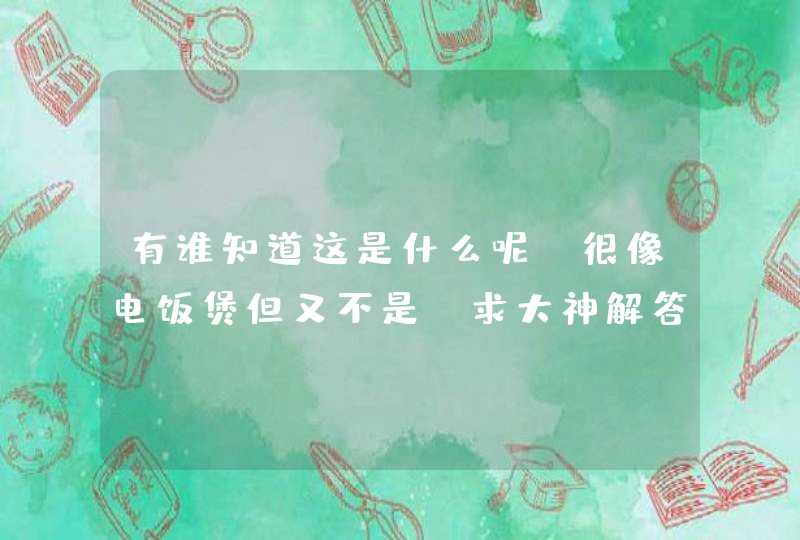 有谁知道这是什么呢？很像电饭煲但又不是，求大神解答,第1张