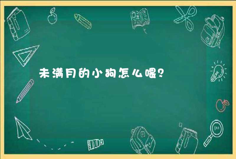 未满月的小狗怎么喂？,第1张