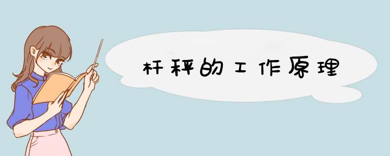 杆秤的工作原理,第1张