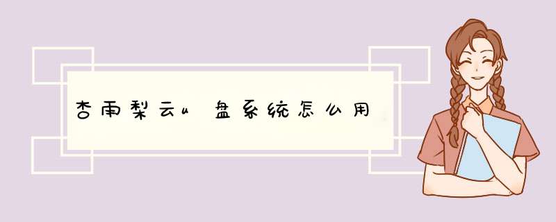 杏雨梨云u盘系统怎么用,第1张