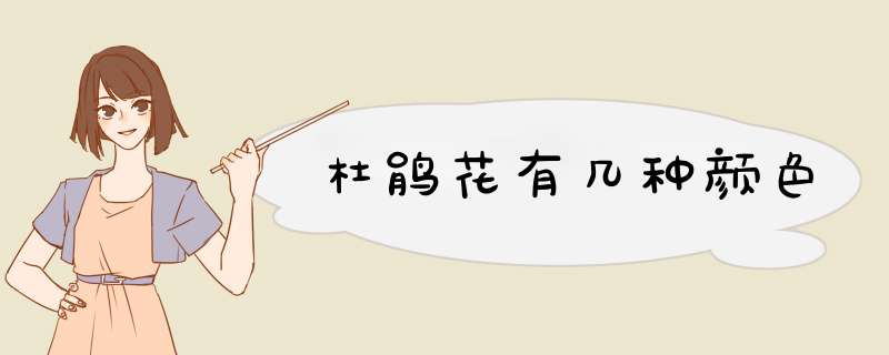杜鹃花有几种颜色,第1张 杜鹃花有几种颜色,第1张