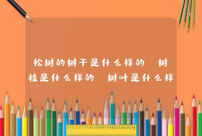 松树的树干是什么样的?树枝是什么样的?树叶是什么样的?,第1张