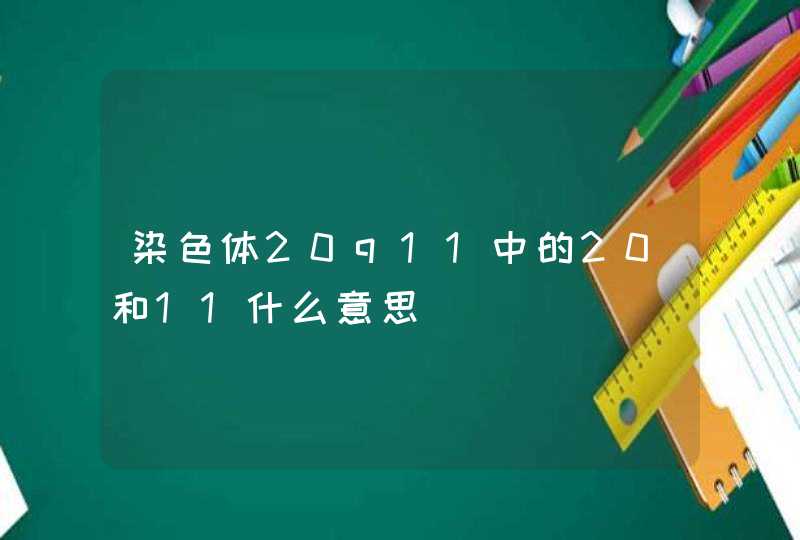 染色体20q11中的20和11什么意思,第1张