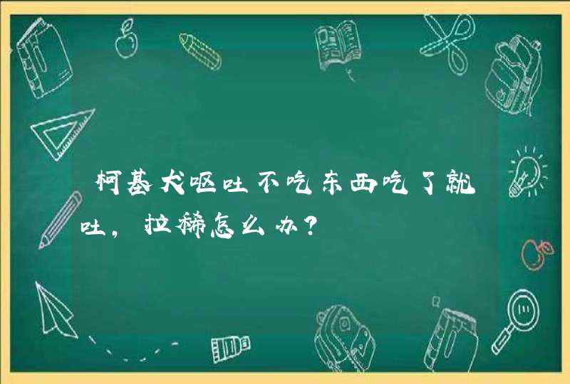 柯基犬呕吐不吃东西吃了就吐，拉稀怎么办？,第1张