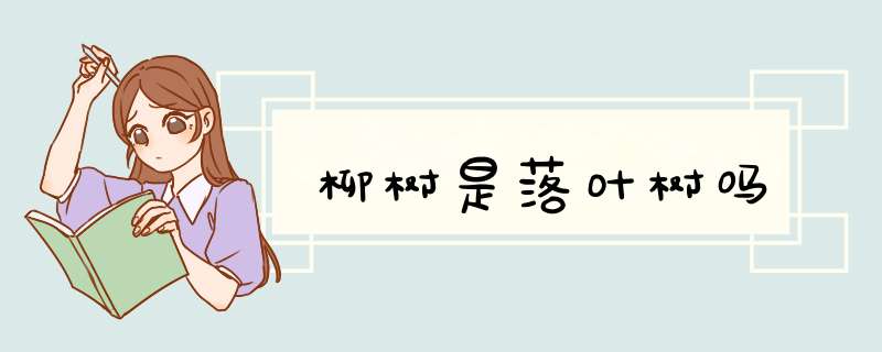 柳树是落叶树吗,第1张