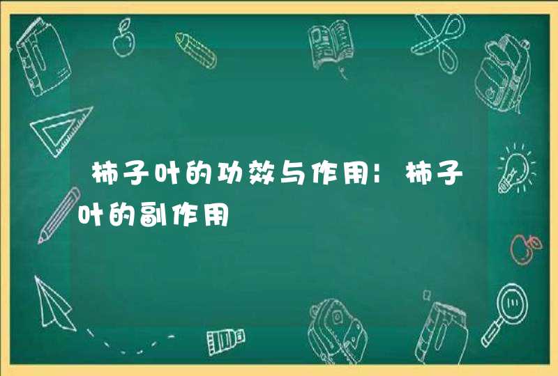 柿子叶的功效与作用|柿子叶的副作用,第1张