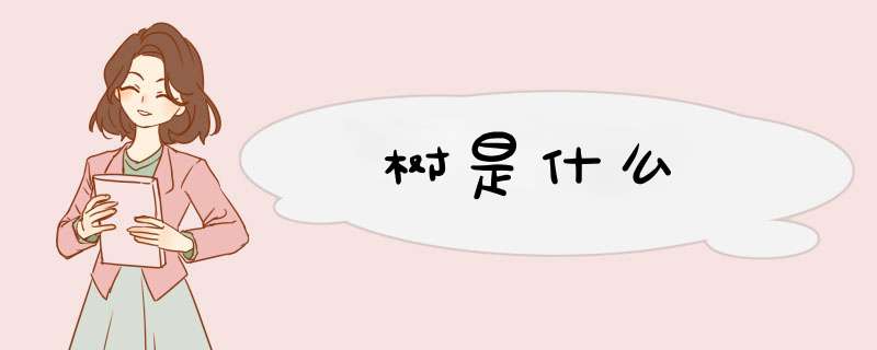 树是什么,第1张