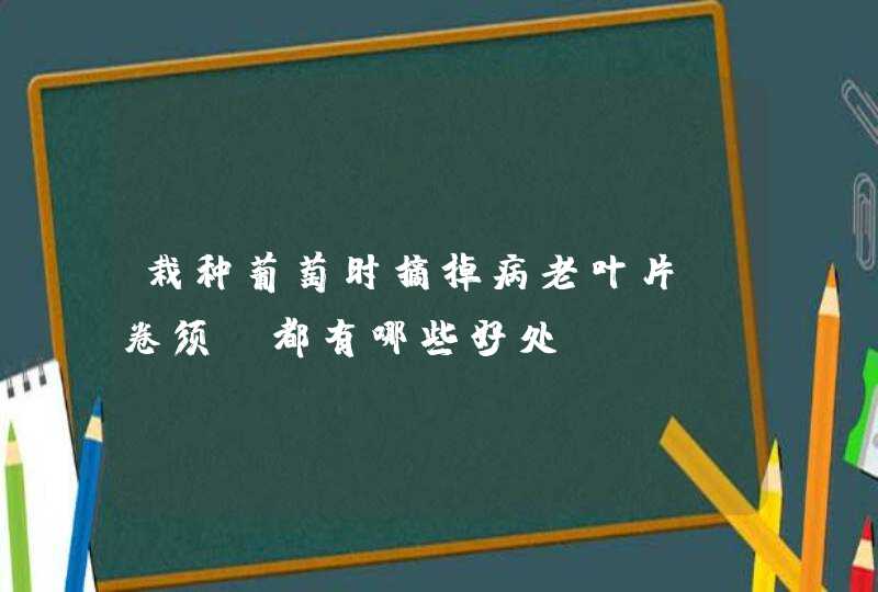 栽种葡萄时摘掉病老叶片及卷须，都有哪些好处？,第1张