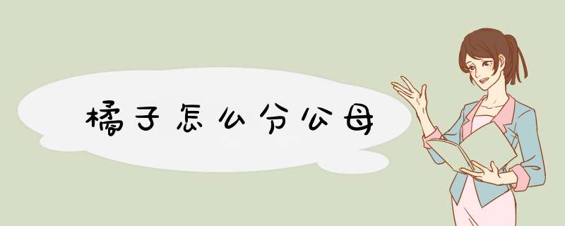 橘子怎么分公母,第1张 橘子怎么分公母,第1张