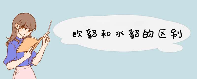 欧貂和水貂的区别,第1张 欧貂和水貂的区别,第1张
