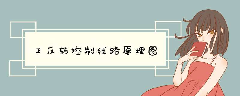 正反转控制线路原理图,第1张 正反转控制线路原理图,第1张