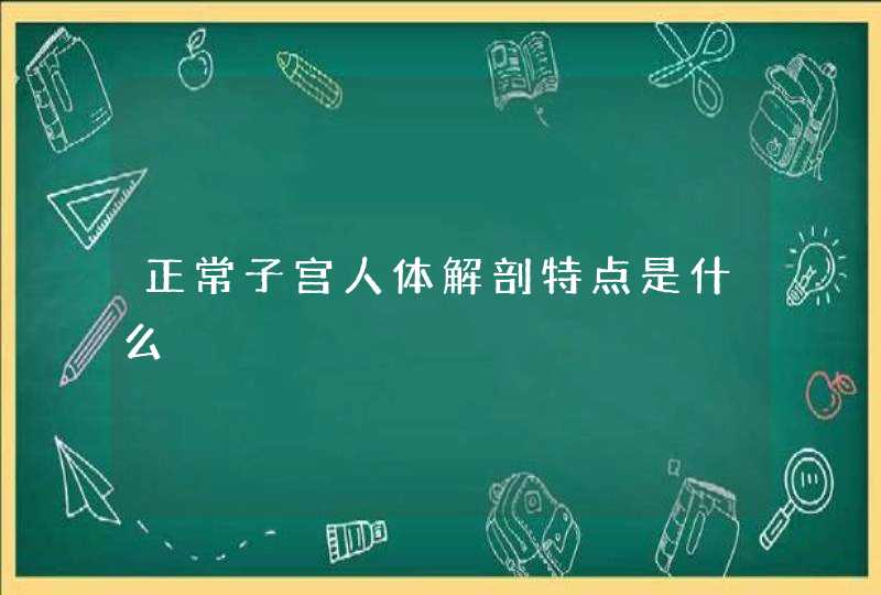 正常子宫人体解剖特点是什么,第1张