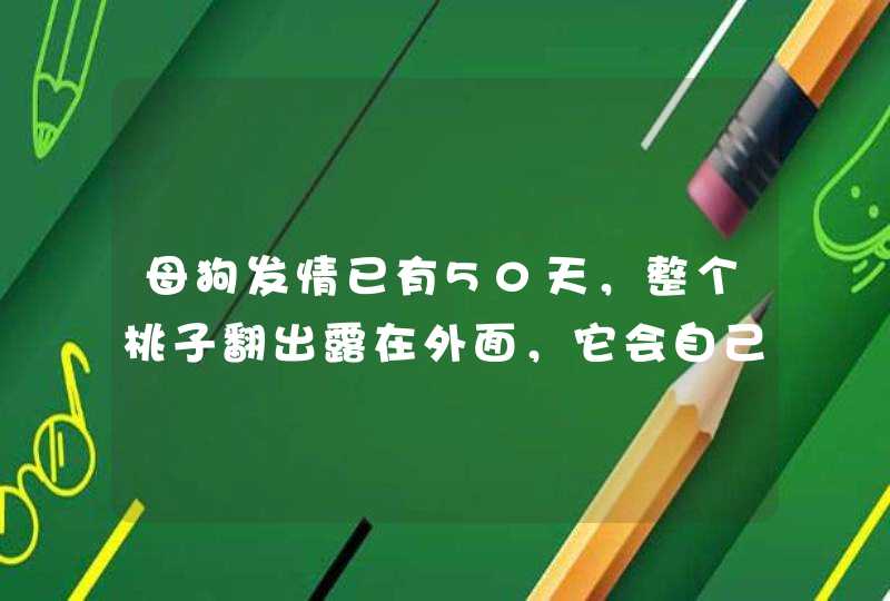 母狗发情已有50天，整个桃子翻出露在外面，它会自己缩回去么？要不要人为塞回去？急急！很急,第1张