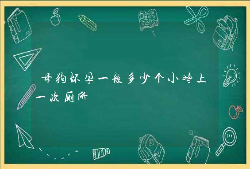 母狗怀孕一般多少个小时上一次厕所,第1张