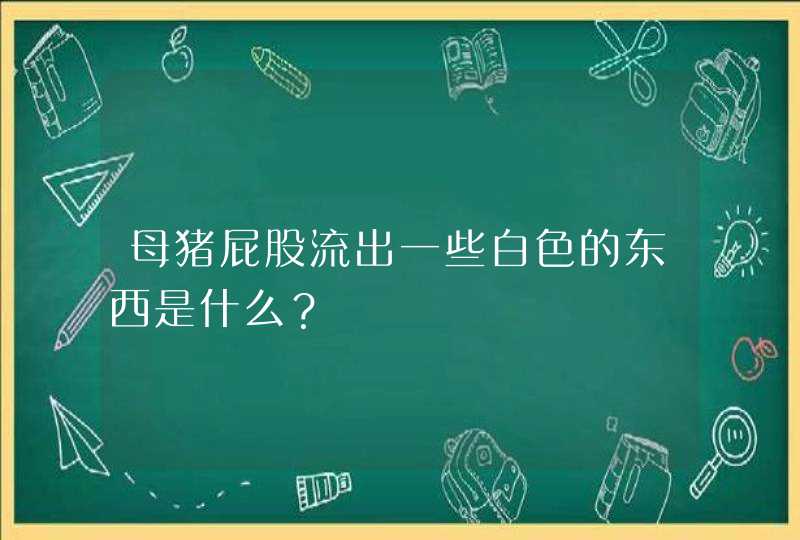 母猪屁股流出一些白色的东西是什么？,第1张