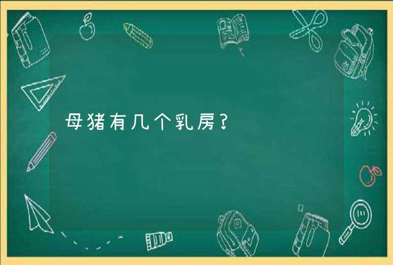 母猪有几个乳房?,第1张