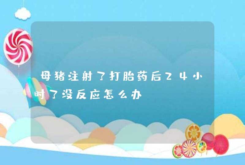 母猪注射了打胎药后24小时了没反应怎么办？,第1张