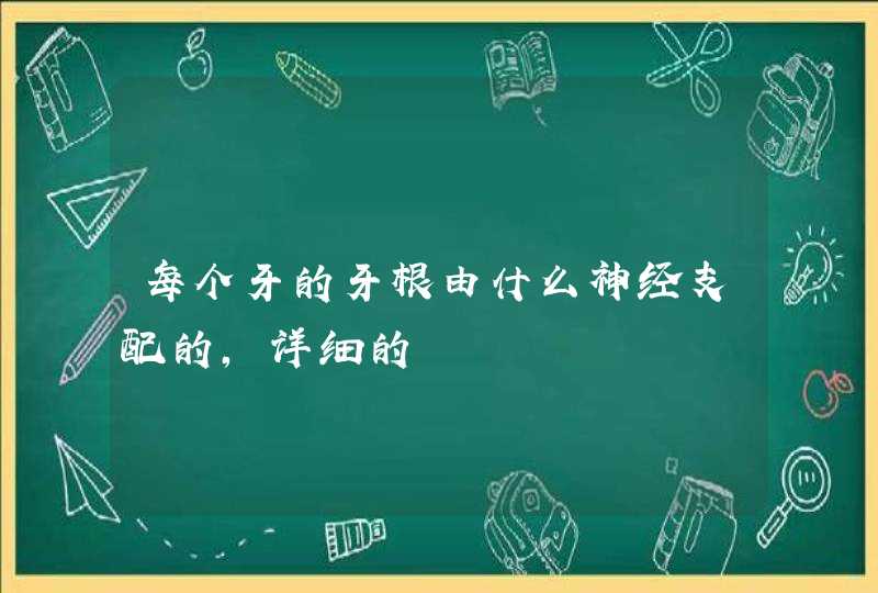 每个牙的牙根由什么神经支配的，详细的,第1张