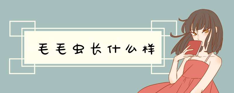 毛毛虫长什么样,第1张