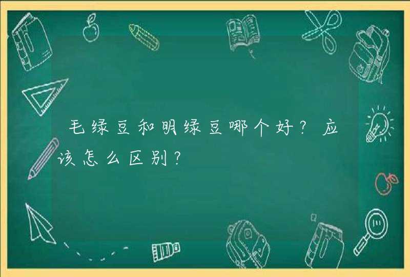 毛绿豆和明绿豆哪个好？应该怎么区别？,第1张