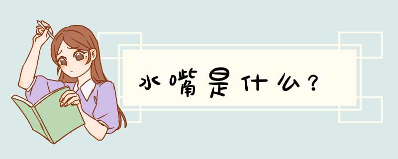 水嘴是什么？,第1张