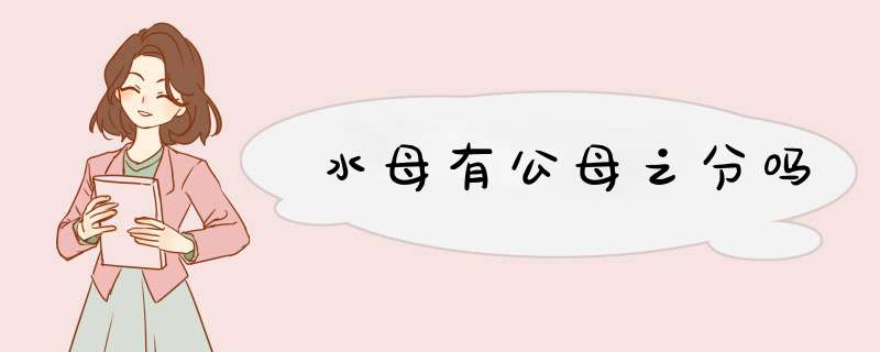 水母有公母之分吗,第1张