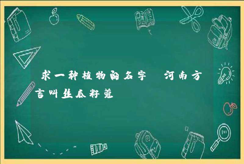 求一种植物的名字，河南方言叫丝瓜籽蔻,第1张