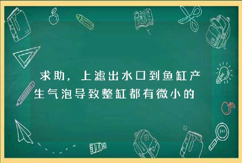 求助，上滤出水口到鱼缸产生气泡导致整缸都有微小的,第1张