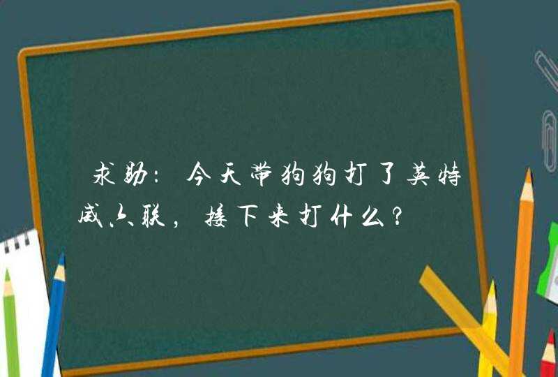 求助：今天带狗狗打了英特威六联，接下来打什么？,第1张