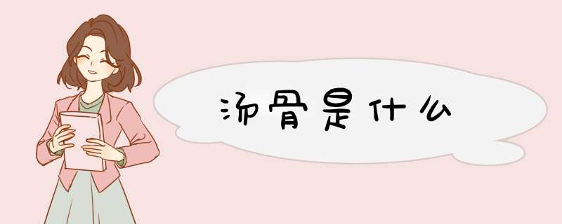 汤骨是什么,第1张