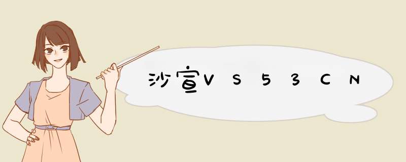 沙宣VS53CN,第1张