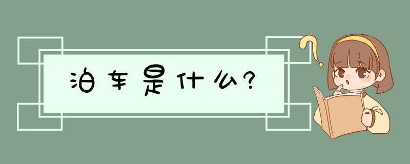 泊车是什么?,第1张
