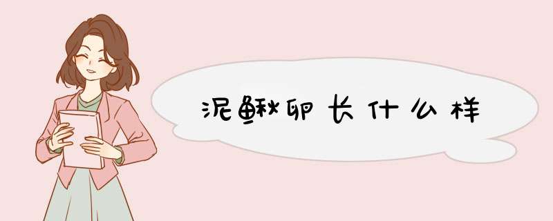 泥鳅卵长什么样,第1张