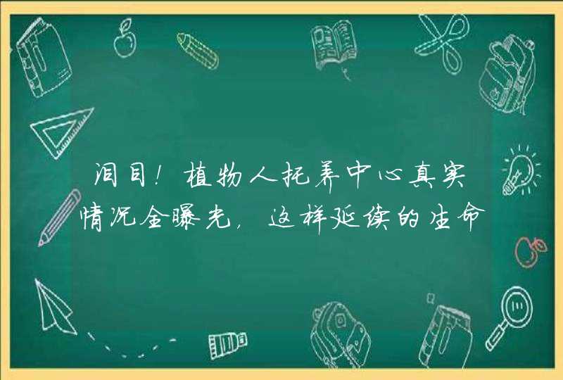 泪目！植物人托养中心真实情况全曝光，这样延续的生命有意义吗？,第1张