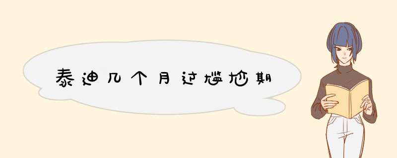 泰迪几个月过尴尬期,第1张