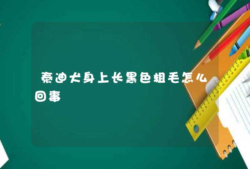 泰迪犬身上长黑色粗毛怎么回事,第1张