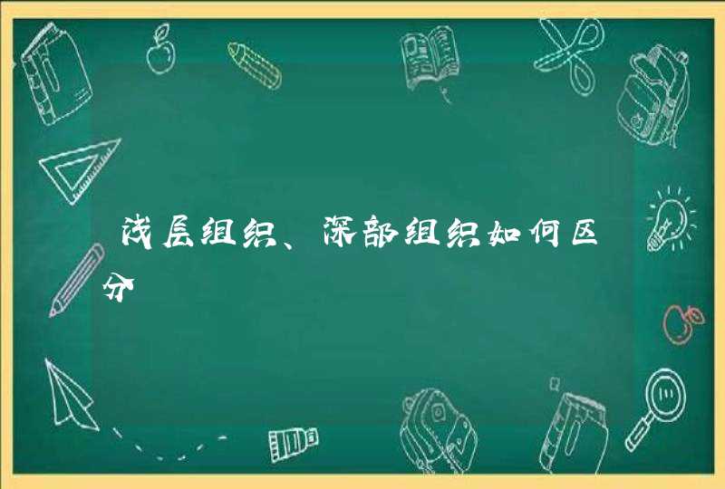 浅层组织、深部组织如何区分,第1张