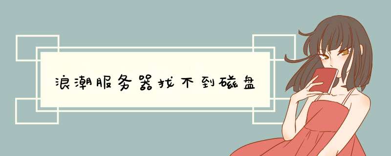 浪潮服务器找不到磁盘,第1张