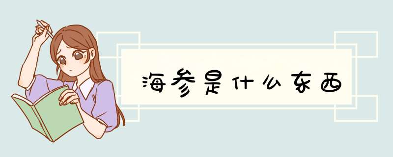 海参是什么东西,第1张