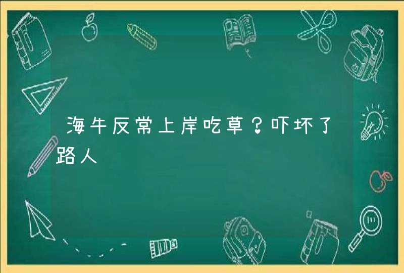 海牛反常上岸吃草？吓坏了路人,第1张