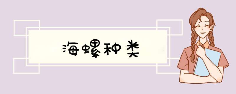 海螺种类,第1张 海螺种类,第1张