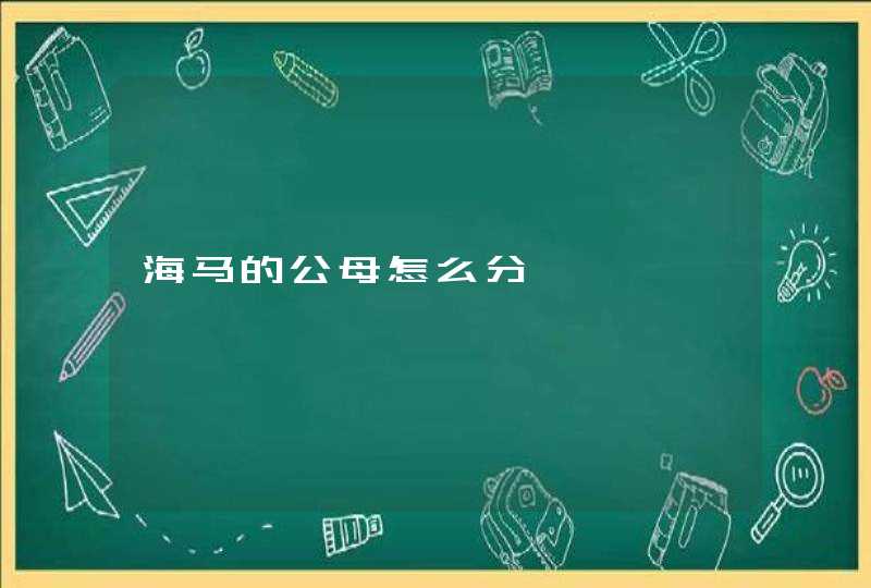 海马的公母怎么分,第1张