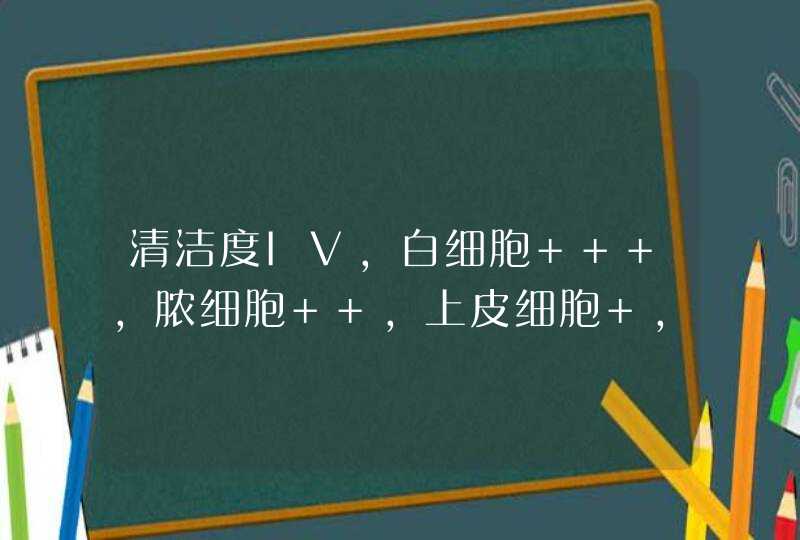 清洁度IV，白细胞+++，脓细胞++，上皮细胞+，BV阳性,霉菌+，球菌++，杂菌++是什么意思 ，谢谢,第1张