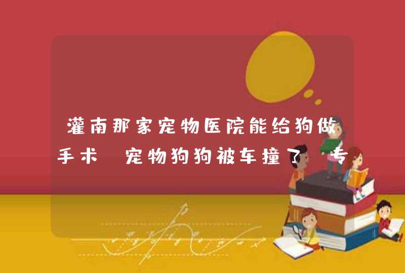 灌南那家宠物医院能给狗做手术?宠物狗狗被车撞了!专业,正规吗?,第1张